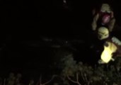 Irish Firefighters Undertake Nighttime Rescue of Dolphin Trapped by Tree Branches