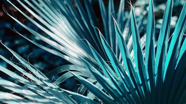 INNA - No Help - Official Music Video