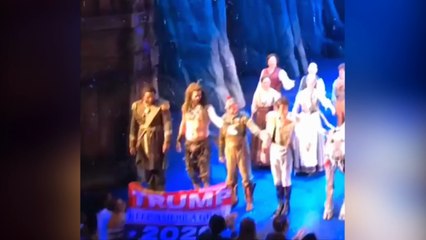 'Frozen' Actor Snatches Pro-Trump Banner From Audience Member