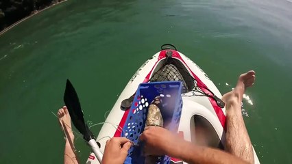 Land based Shark fishing NZ