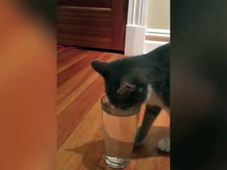 Drôle de façon de boire !