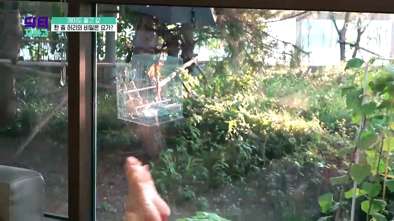 가슴은 그대로! 뱃살 지방만 쏙 빼는 운동법이 있다?