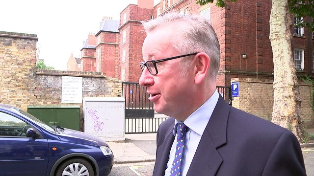 Gove backs 'Team Theresa' over Boris