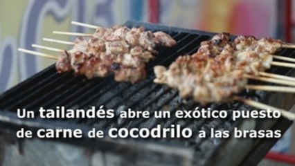 Un tailandés abre un exótico puesto de carne de cocodrilo a las brasas