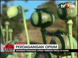 Myanmar Penghasil Opium Terbesar Kedua di Dunia