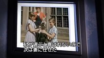 「わんわん物語 MovieNEX」ウォルトの愛犬“レディ”