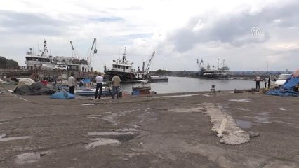 Balıkçılar Sezon Başlangıcından Memnun - Düzce