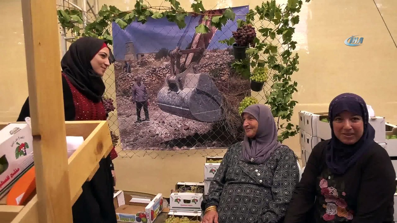 - Filistin’de Üzüm Festivali