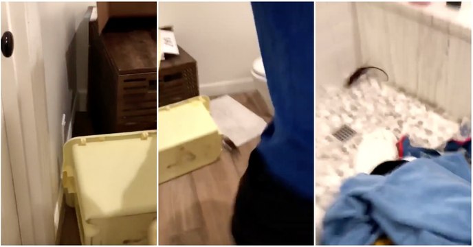 Pai conta com a preciosa ajuda dos filhos valentes para apanhar um rato em casa