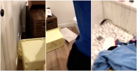 Pai conta com a preciosa ajuda dos filhos valentes para apanhar um rato em casa