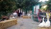 "On n'est pas du bétail!": parents et élèves manifestent contre la fermeture d'une classe de primaire à Breil-sur-Roya