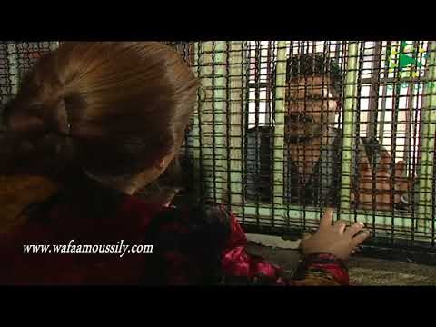 الطير ـ طلاق عفاف من جابر في السجن ـ وفاء موصللي ـ رفيق سبيعي ـ عبد الحكيم قطيفان