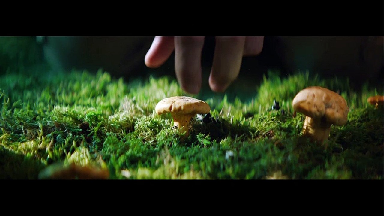 Rénovation énergétique , campagne FAIRE  tous éco-confortables : l'humidité  !