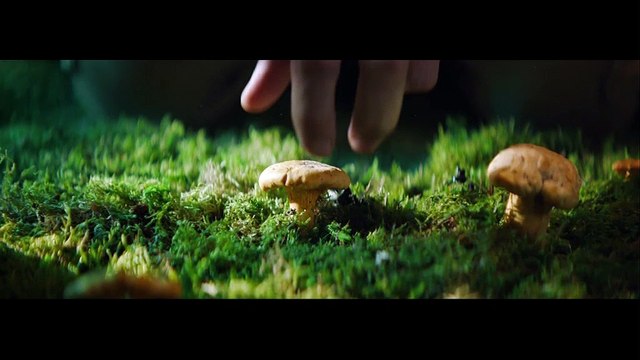 Rénovation énergétique , campagne FAIRE tous éco-confortables : l'humidité !