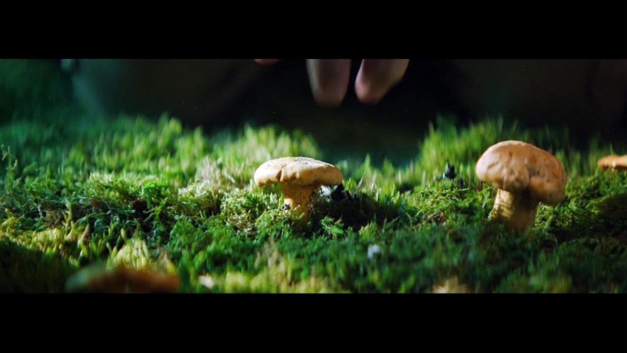 Rénovation énergétique : lancement de la campagne FAIRE  tous éco-confortables !