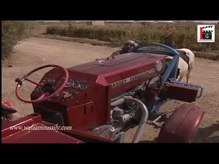 مرايا٩٨ ‎ـ ابو عجلي ‎ـ وفاء موصلي ‎ـ ياسر العظمة