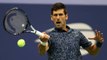 Novak Djokovic Beats Juan Martin Del Potro to Win US Open