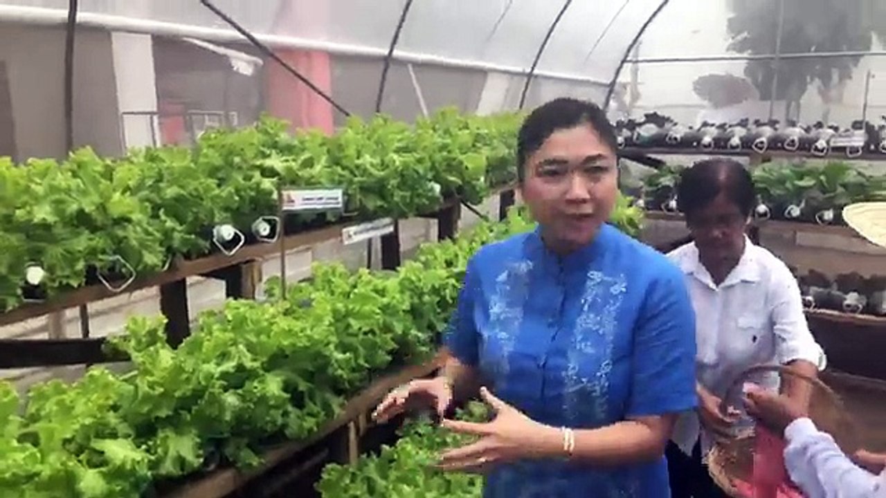 Vegetable Harvest at Dr. Artemio Natividad Elementary School’s (DANES) Urban