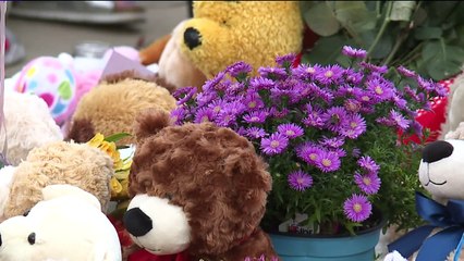 Stuffed Animals Left at Watts Memorial to Be Turned Into Blankets for Kids in Crisis