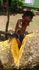 Inspiring Boy Chops Wood
