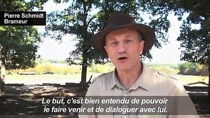 Championnat insolite: imiter le bruit du cerf en rut !