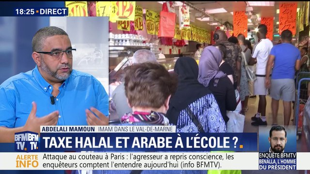 Abdelali Mamoun: Quand on a la langue arabe, on a plus d'esprit critique