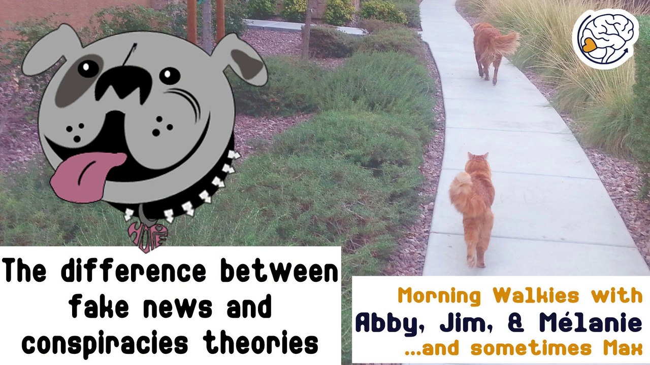 The difference between fake news and conspiracy theories - Walkies with Abby