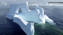A Company's Wild Plan to Tow an Iceberg From Antarctica to Dubai