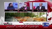 I Think PMLN Didn't Negotiate Much On CPEC Because Of War On Terror.. Arfa Noor