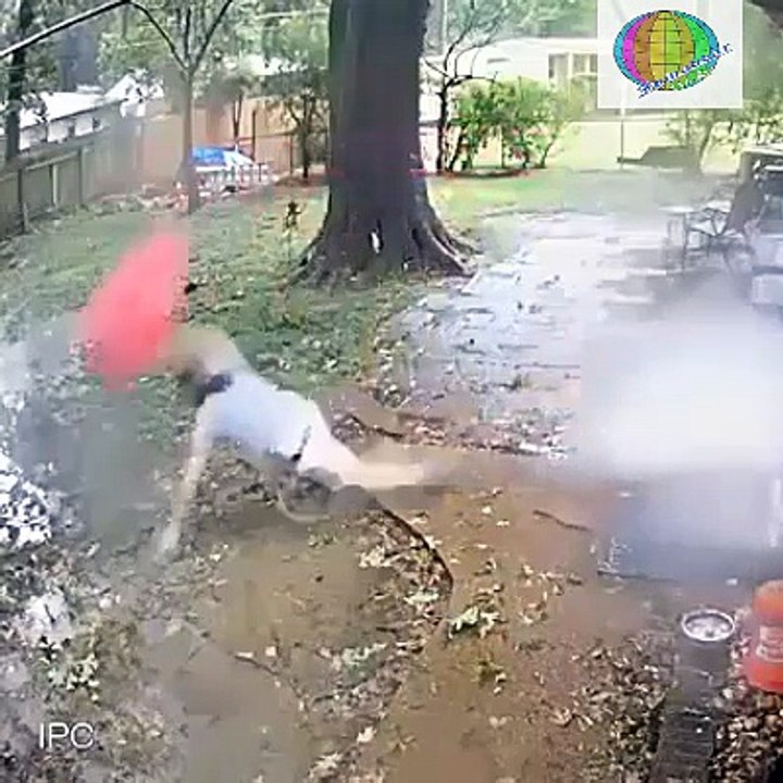 অবাস্তব কিছু ঘটনা । যার ব্যাখ্যা আজও কোন বিঙ্গানী দিতে পারেনি