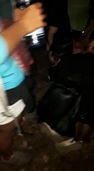 Sur le site de la ZAD, l'eurodéputée Karima Delli incommodée par les gaz lacrymogènes