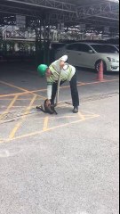 Good Samaritan Saves Cat From Python