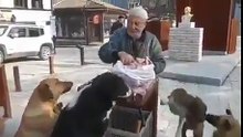 ULVİ DEDE SOKAK KÖPEKLERİNİ BESLİYOR İNSANLIK ÖLMEMİŞ
