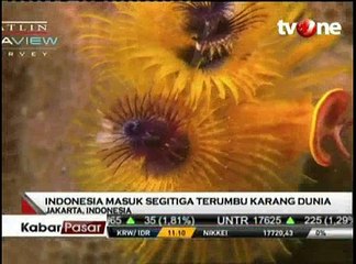 Indonesia Masuk Segitiga Terumbu Karang Dunia
