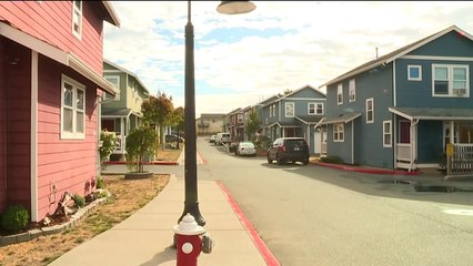 Domestic Violence Suspect Dies After Deputy-Involved Shooting in Washington