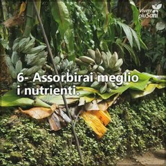 Vuoi un buon motivo per mangiare una banana al giorno? Noi te ne diamo 9