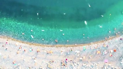 Those Aren't Microbes, They're People At The Beach