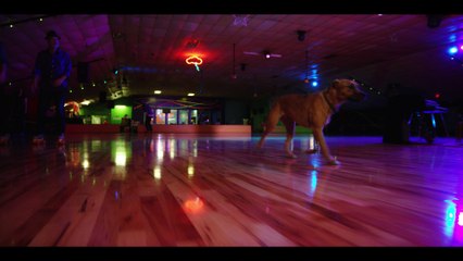 Edie Brickell & New Bohemians - What Makes You Happy