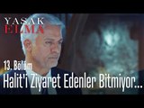 Halit'i ziyaret edenler bitmiyor... - Yasak Elma 13. Bölüm