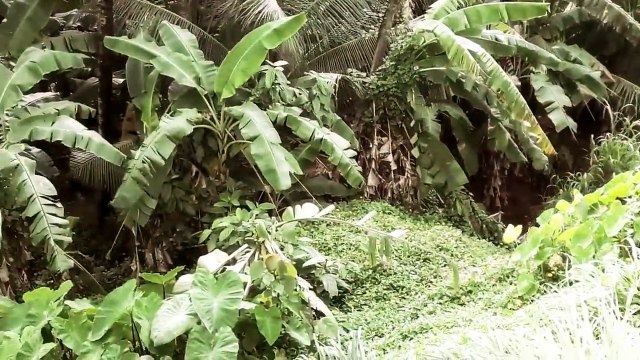 Ghost investigation in real life caught, horror scary footage found