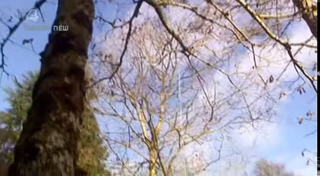 Beauty And The Geek Uk S01 E05