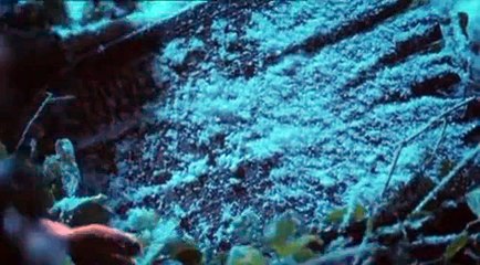 Lark Rise To Candleford S02 E01 Part 02