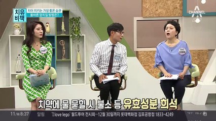 양치질, 그것이 알고 싶다!