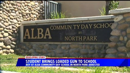 Student in Custody After Bringing Loaded Gun to Continuation School, Police Say