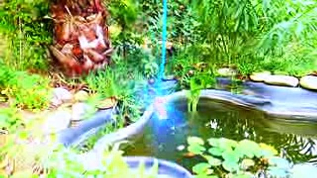 Настя и золотая рыбка Nastya pretend play with magic gold fish