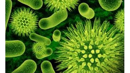 Stress, Depression And Anxiety Are All Alleviated By Probiotics (Here’s a List of Foods to Eat!)