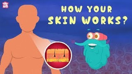How Your Skin Works? - The Dr. Binocs Show | Best Learning Videos For Kids | Peekaboo Kidz