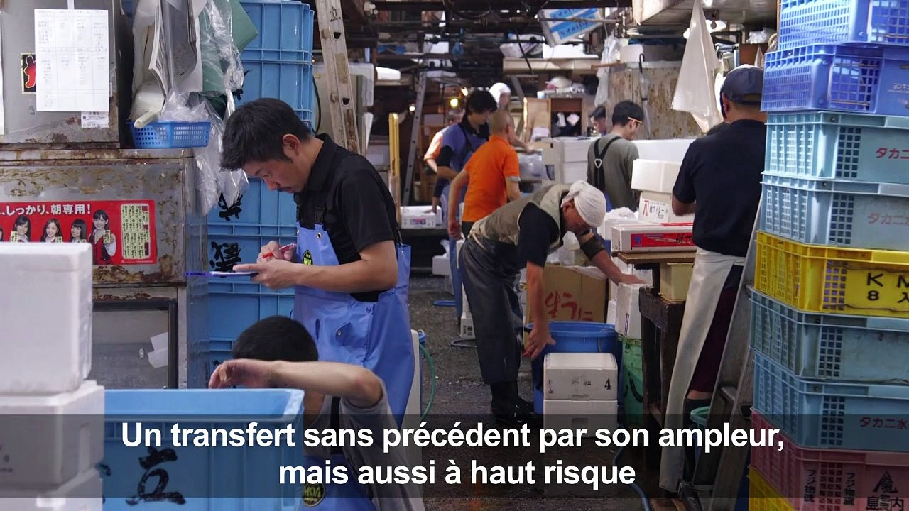 Le marché aux poissons de Tsukiji déménage: haro sur les rats