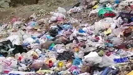 Çorum'da çöp depolama alanında silahla vurulan 8 köpek ölüsü bulundu