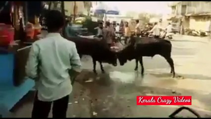 അടിപിടി പ്രശ്‍നം തീർക്കാൻ പോയി പണി വാങ്ങിയ ഒരു മധ്യസ്ഥൻ